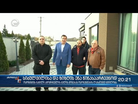 სიძულვილისა და ზიზღის ენა -ეს წინასაარჩევნოდ რადიკალების არჩევანია